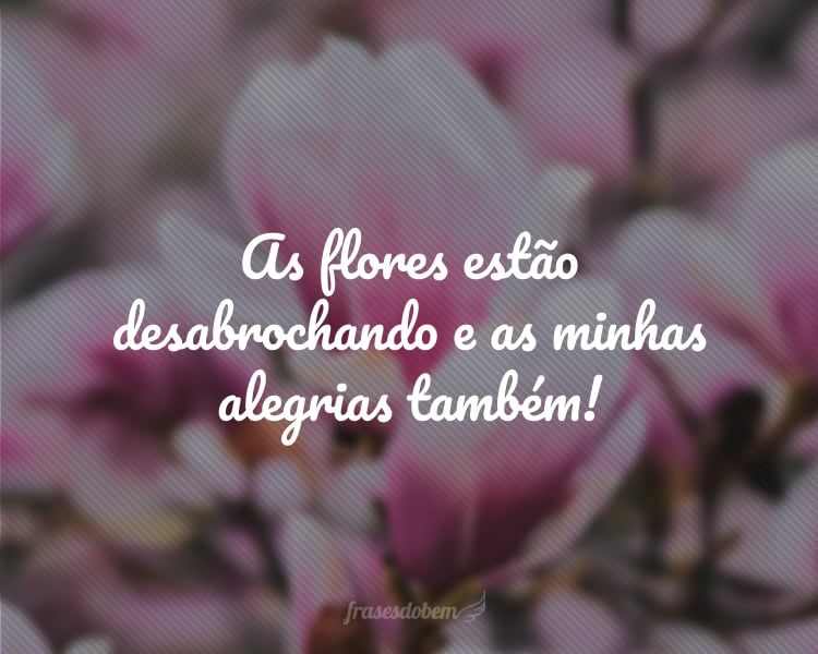 As flores estão desabrochando e as minhas alegrias também!