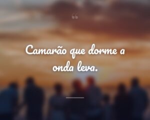 Camarão que dorme a onda leva.