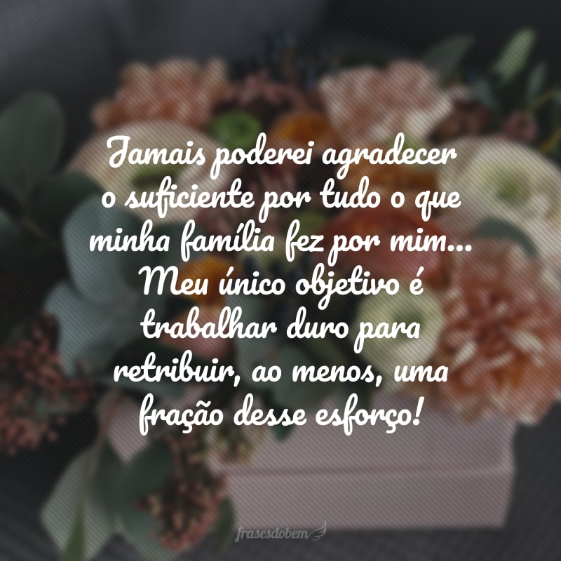 Jamais poderei agradecer o suficiente por tudo o que minha família fez por mim… Meu único objetivo é trabalhar duro para retribuir, ao menos, uma fração desse esforço!