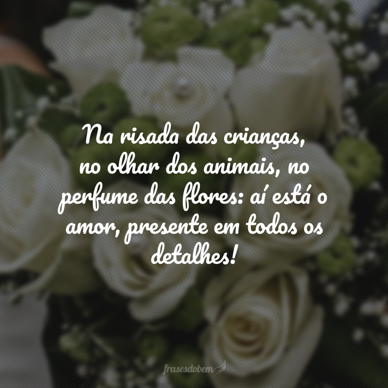 Na risada das crianças, no olhar dos animais, no perfume das flores: aí está o amor, presente em todos os detalhes!