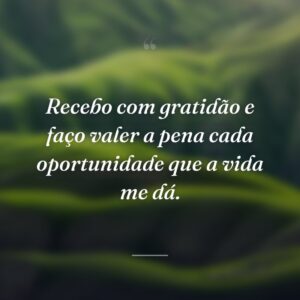 Recebo com gratidão e faço valer a pena cada oportunidade que a vida me dá.