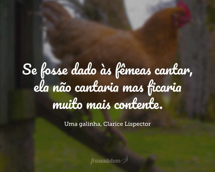 Se fosse dado às fêmeas cantar, ela não cantaria mas ficaria muito mais contente.