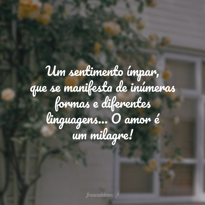 Um sentimento ímpar, que se manifesta de inúmeras formas e diferentes linguagens… O amor é um milagre!