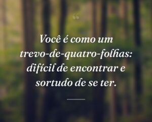 Você é como um trevo-de-quatro-folhas: difícil de encontrar e sortudo de se ter.