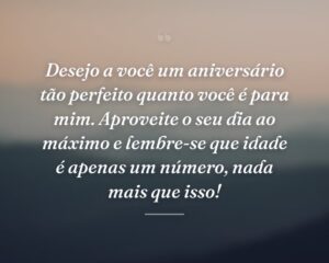 Desejo a você um aniversário tão perfeito quanto você é para mim. Aproveite o seu dia ao máximo e lembre-se que idade é apenas um número, nada mais que isso!