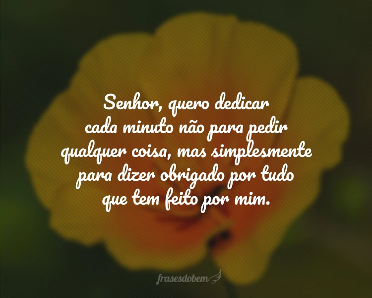 40 frases de gratidão para reconhecer graças e bênçãos 40 frases de gratidão para reconhecer graças e bênçãos