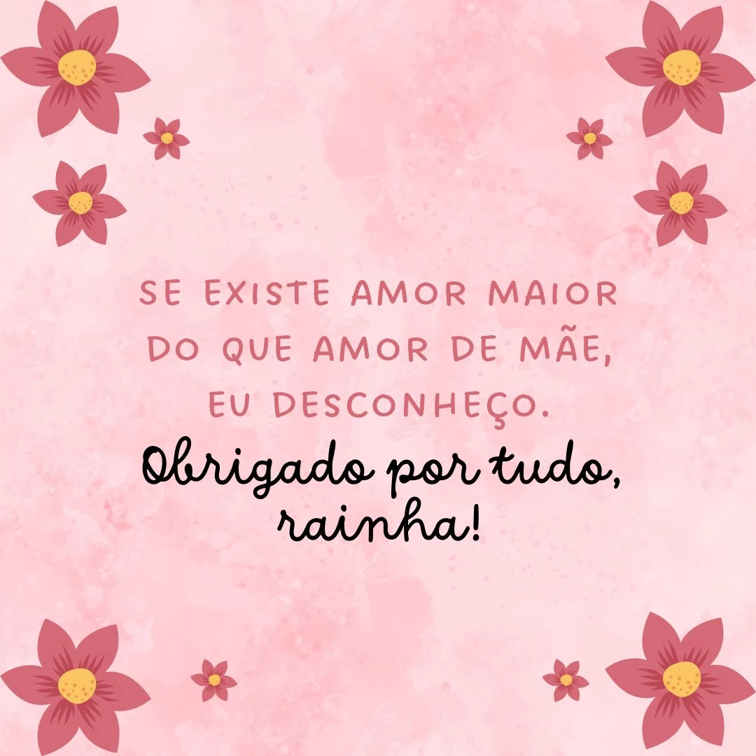 Se existe amor maior do que amor de mãe, eu desconheço. Obrigado por tudo, rainha!