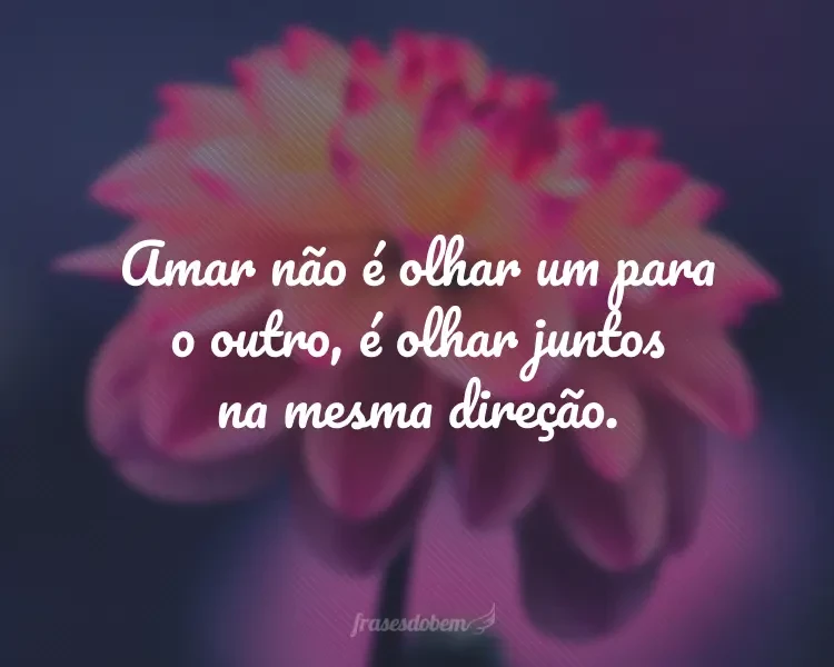 115 frases de amor para estar em estado de graça 115 frases de amor para estar em estado de graça