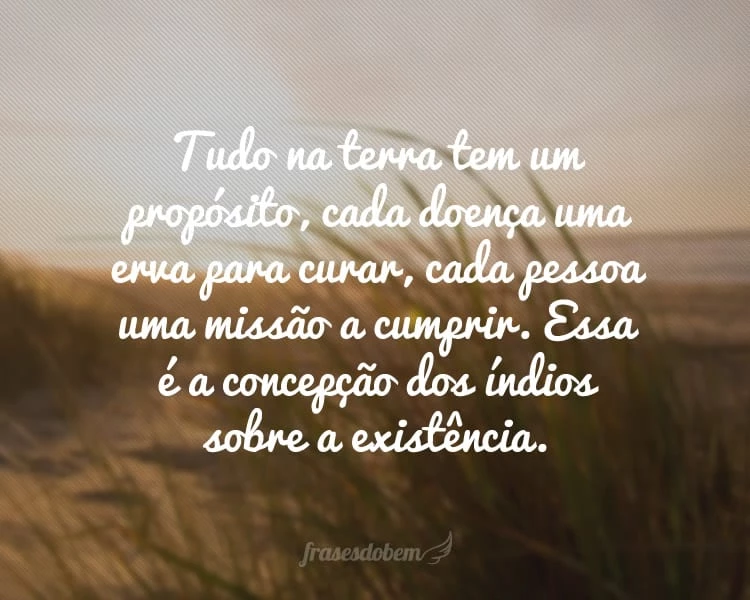 Frases de Dia do Índio - Frases do Bem Frases de Dia do Índio - Frases do Bem