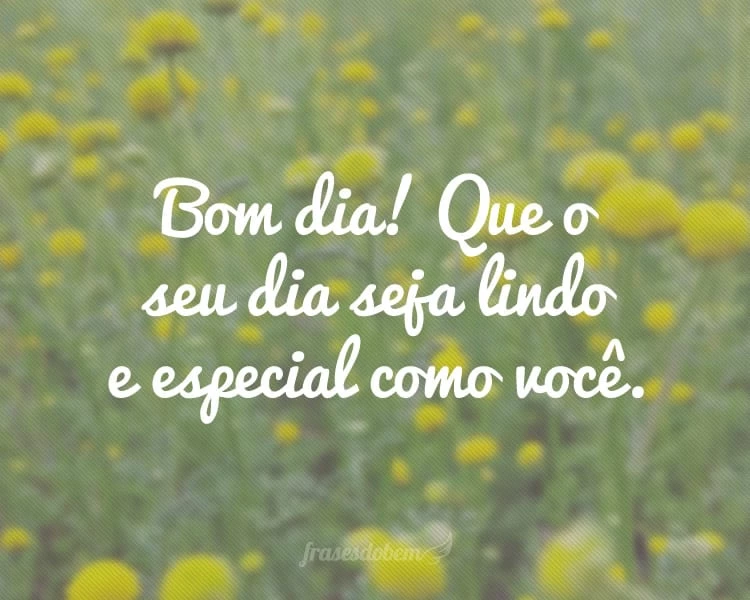 Frases de Bom Dia para Alguém Especial - Frases do Bem Frases de Bom Dia para Alguém Especial - Frases do Bem