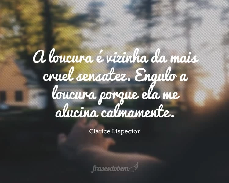 Frases de Loucura - Frases do Bem Frases de Loucura - Frases do Bem