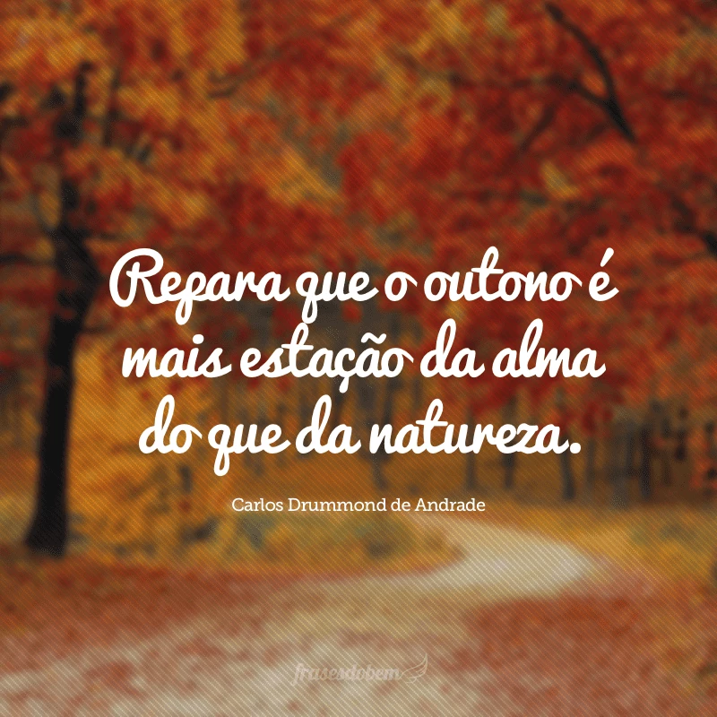 50 frases de outono para se inspirar e compartilhar 50 frases de outono para se inspirar e compartilhar