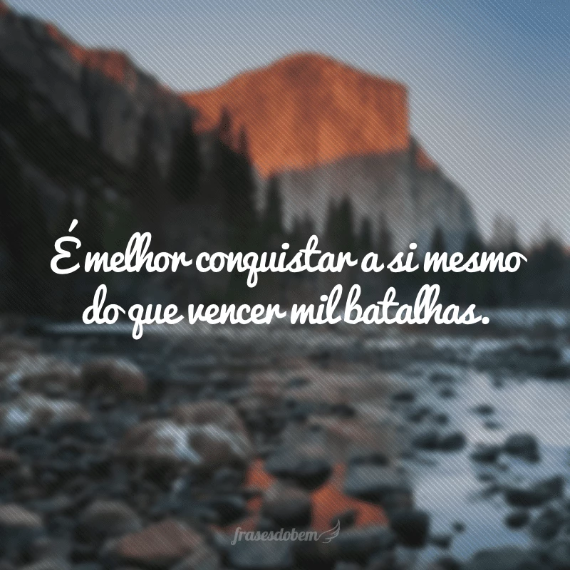 55 frases de vencedor para comemorar uma grande vitória 55 frases de vencedor para comemorar uma grande vitória