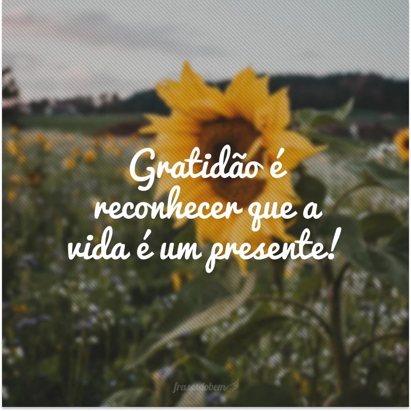 50 frases de agradecimento à vida para espalhar gratidão 50 frases de agradecimento à vida para espalhar gratidão