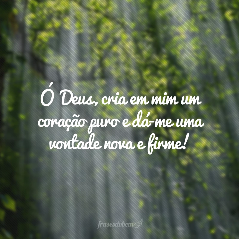 60 frases bíblicas para status que vão edificar sua vida 60 frases bíblicas para status que vão edificar sua vida