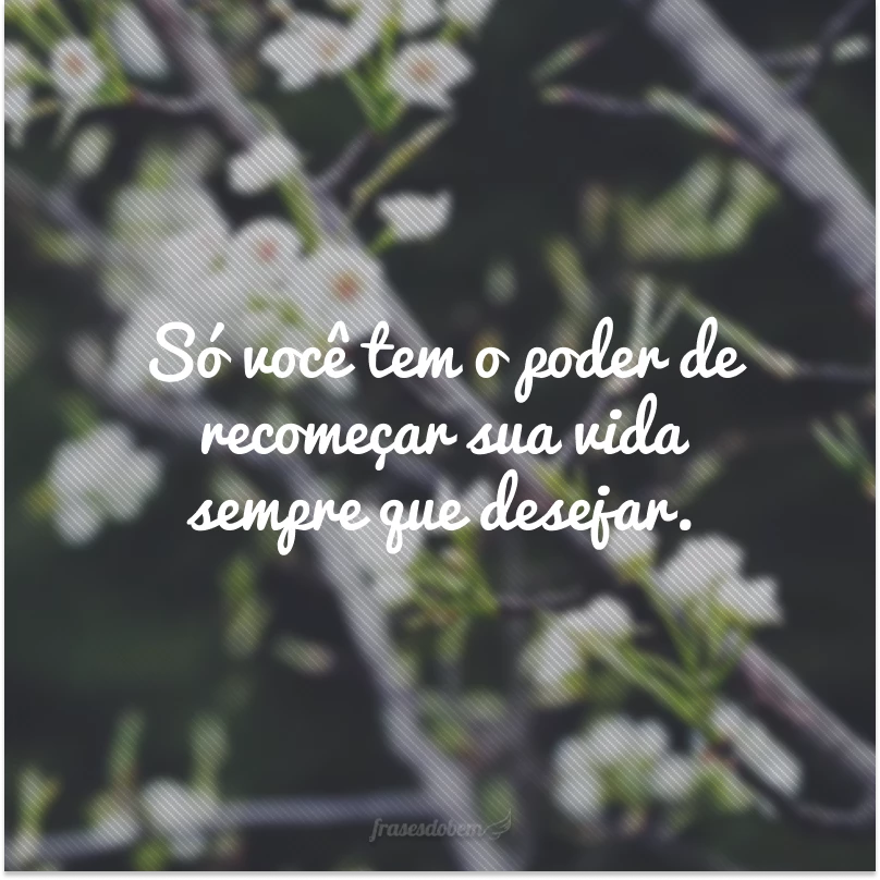 30 frases de vida nova para transformar sua rotina 30 frases de vida nova para transformar sua rotina