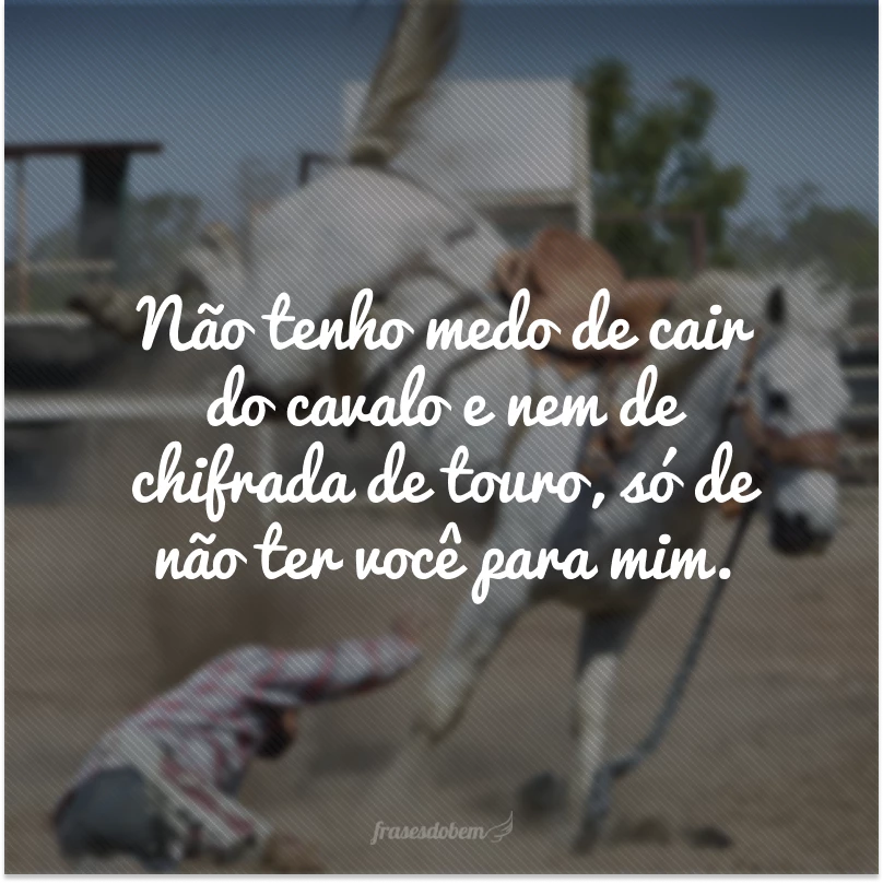 40 frases de cowboy para quem é bruto, rústico e sistemático 40 frases de cowboy para quem é bruto, rústico e sistemático
