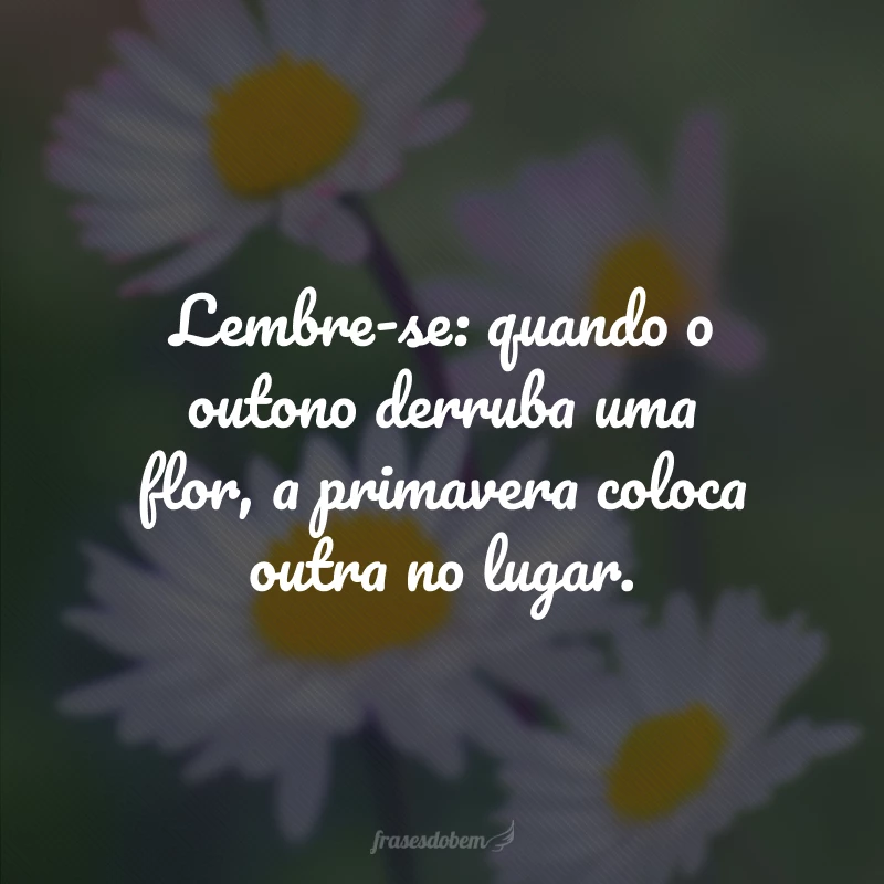 50 frases de primavera para florescer junto às flores 50 frases de primavera para florescer junto às flores