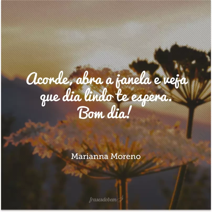 50 frases de bom dia feliz para alegrar sua rotina e transformar sua vida 50 frases de bom dia feliz para alegrar sua rotina e transformar sua vida