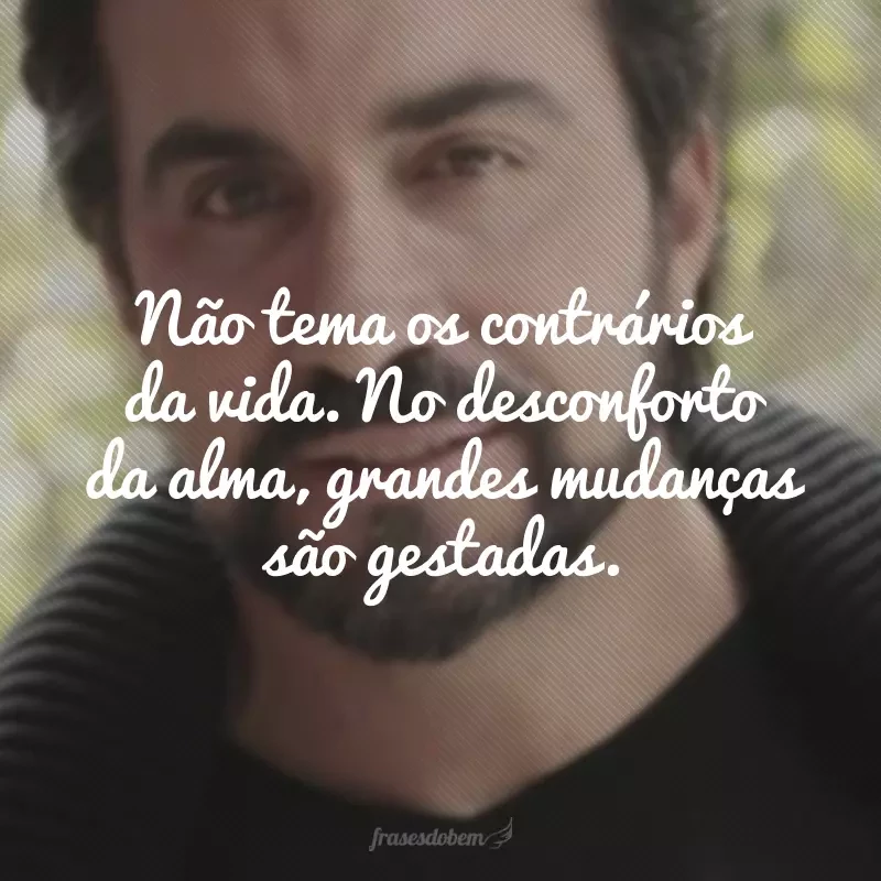 50 frases Padre Fábio de Melo que estão carregadas de ensinamentos 50 frases Padre Fábio de Melo que estão carregadas de ensinamentos