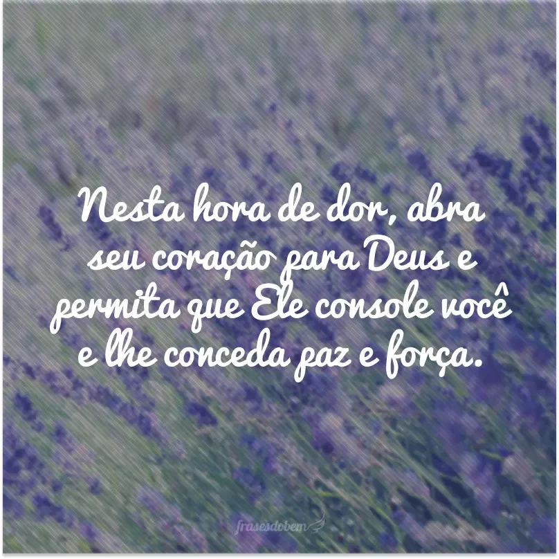 35 frases de pêsames para consolar uma pessoa querida 35 frases de pêsames para consolar uma pessoa querida