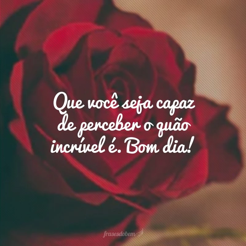 30 frases de bom dia para crush nenhum acordar desanimado 30 frases de bom dia para crush nenhum acordar desanimado
