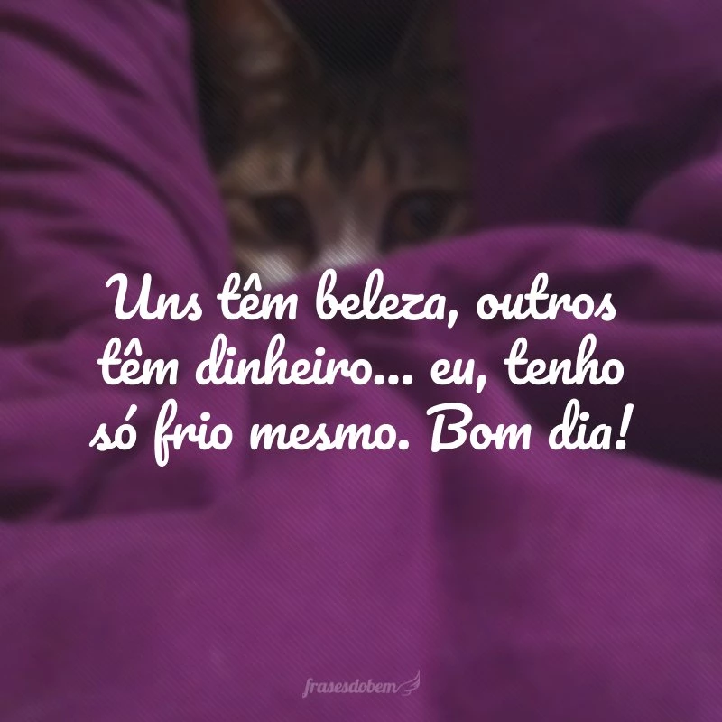 50 frases de bom dia com frio que vão aquecer as suas manhãs 50 frases de bom dia com frio que vão aquecer as suas manhãs