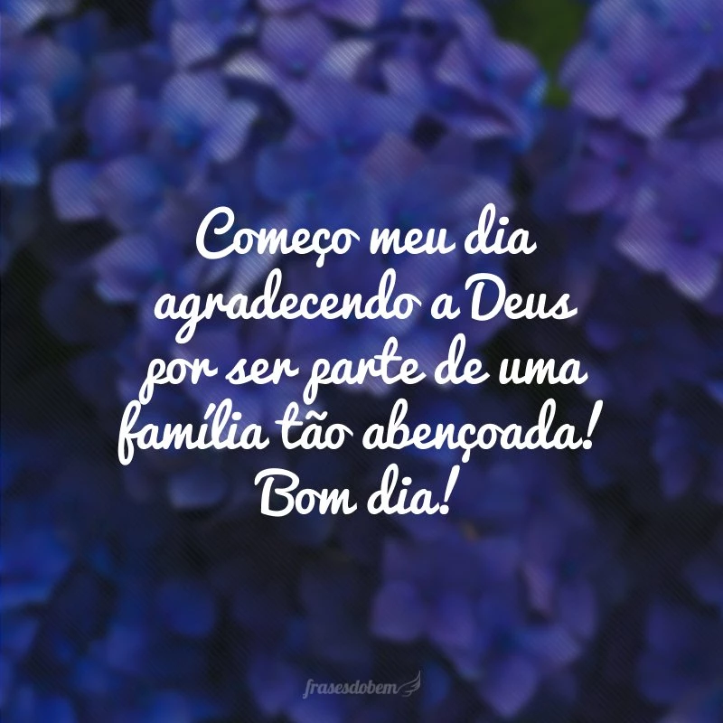 40 frases de bom dia para família cheias de gratidão e amor 40 frases de bom dia para família cheias de gratidão e amor