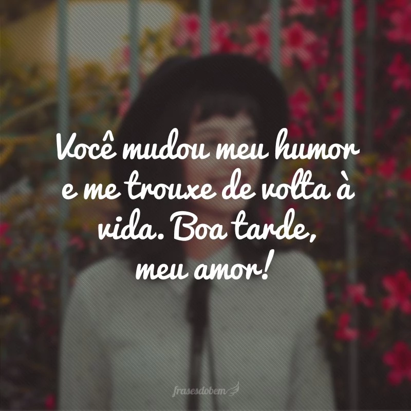 50 frases de boa tarde com amor para melhorar o dia da pessoa amada 50 frases de boa tarde com amor para melhorar o dia da pessoa amada