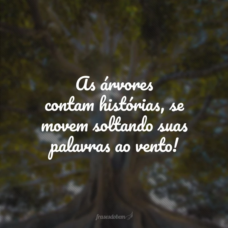 40 frases sobre árvores para apreciar a força e a beleza da natureza 40 frases sobre árvores para apreciar a força e a beleza da natureza