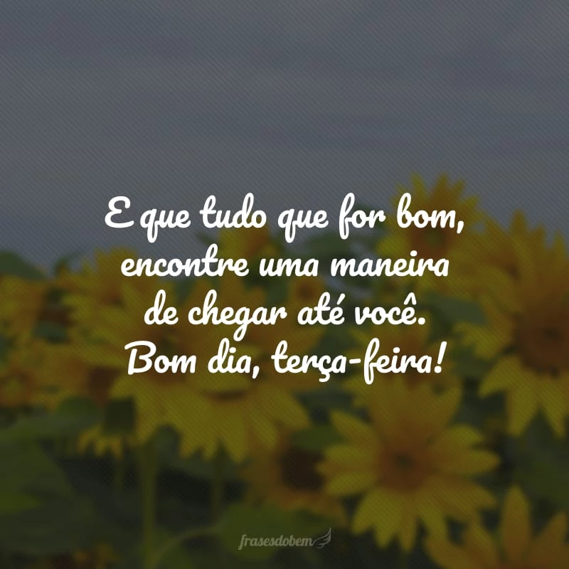 Bom Dia, Terça-Feira: 40 frases para desejar uma ótima manhã Bom Dia, Terça-Feira: 40 frases para desejar uma ótima manhã