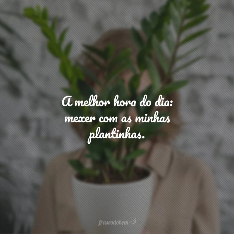 50 frases sobre plantas para você que adora cultivar suas florzinhas