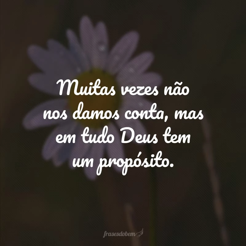 60 frases evangélicas para status que honram, exaltam e glorificam Deus 60 frases evangélicas para status que honram, exaltam e glorificam Deus