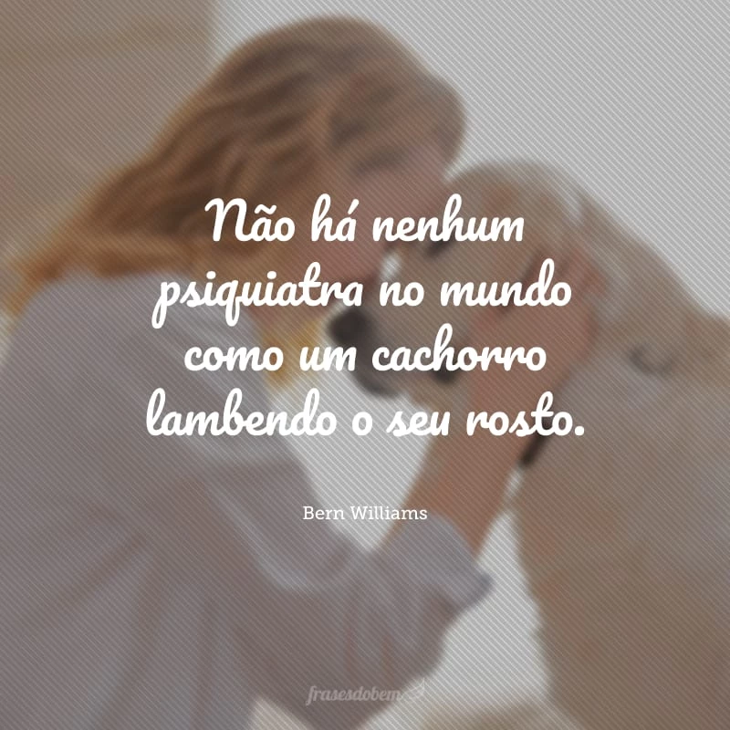 42 frases de cachorro engraçadas para você se divertir com o seu parceiro 42 frases de cachorro engraçadas para você se divertir com o seu parceiro