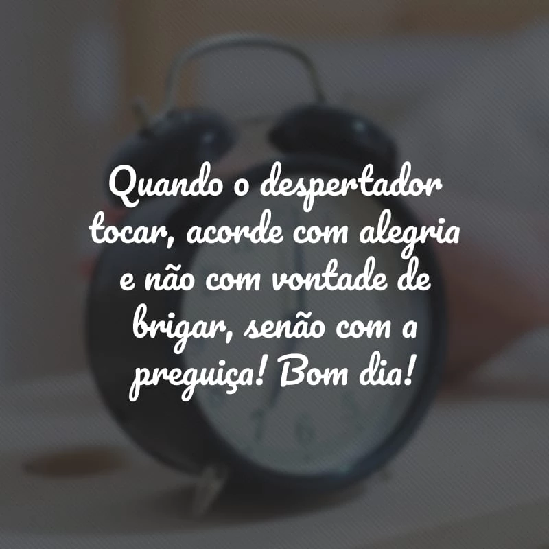 60 frases de bom dia para status que vão alegrar suas manhãs 60 frases de bom dia para status que vão alegrar suas manhãs