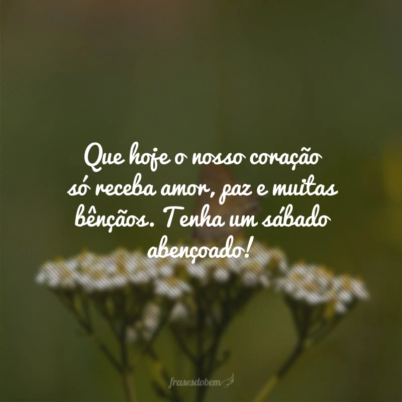 40 frases de sábado abençoado para você ter um dia cheio de bênçãos 40 frases de sábado abençoado para você ter um dia cheio de bênçãos