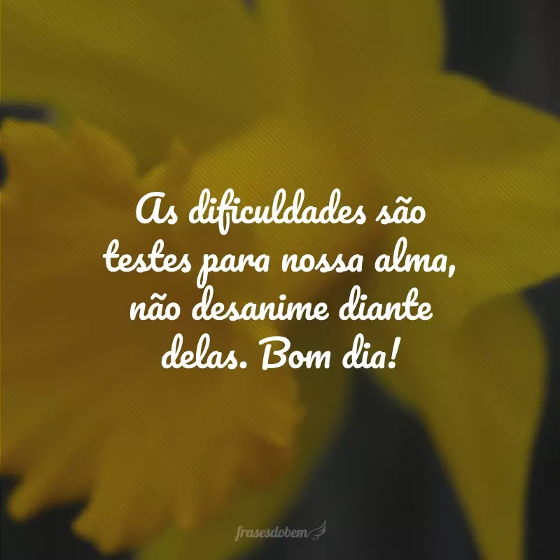 50 frases espíritas de bom dia para evoluir espiritualmente 50 frases espíritas de bom dia para evoluir espiritualmente