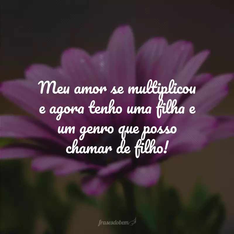 30 frases para genro que mostram o quanto ele é especial na família 30 frases para genro que mostram o quanto ele é especial na família