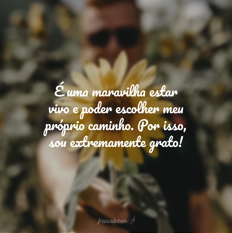 40 frases de gratidão Tumblr para ter o hábito de agradecer mais 40 frases de gratidão Tumblr para ter o hábito de agradecer mais