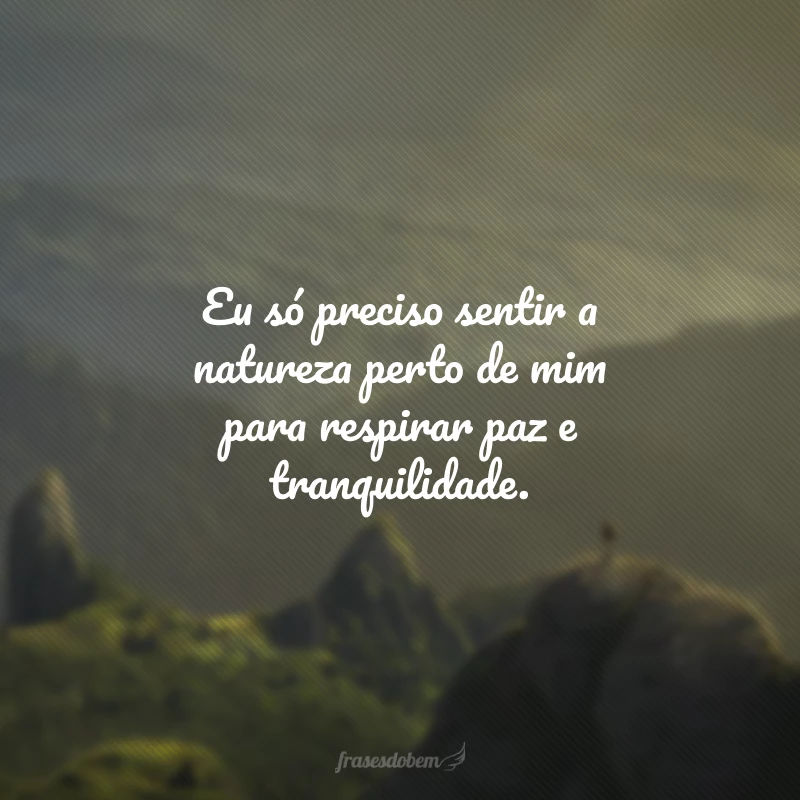 60 frases de natureza Tumblr para se encher da sua energia 60 frases de natureza Tumblr para se encher da sua energia