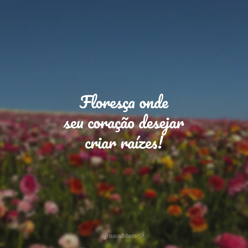50 frases sobre florescer para acreditar que seu jardim vai desabrochar 50 frases sobre florescer para acreditar que seu jardim vai desabrochar