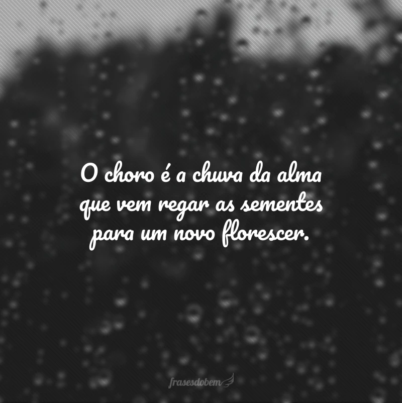 50 frases de chuva para status que vão regar seu coração de paz 50 frases de chuva para status que vão regar seu coração de paz