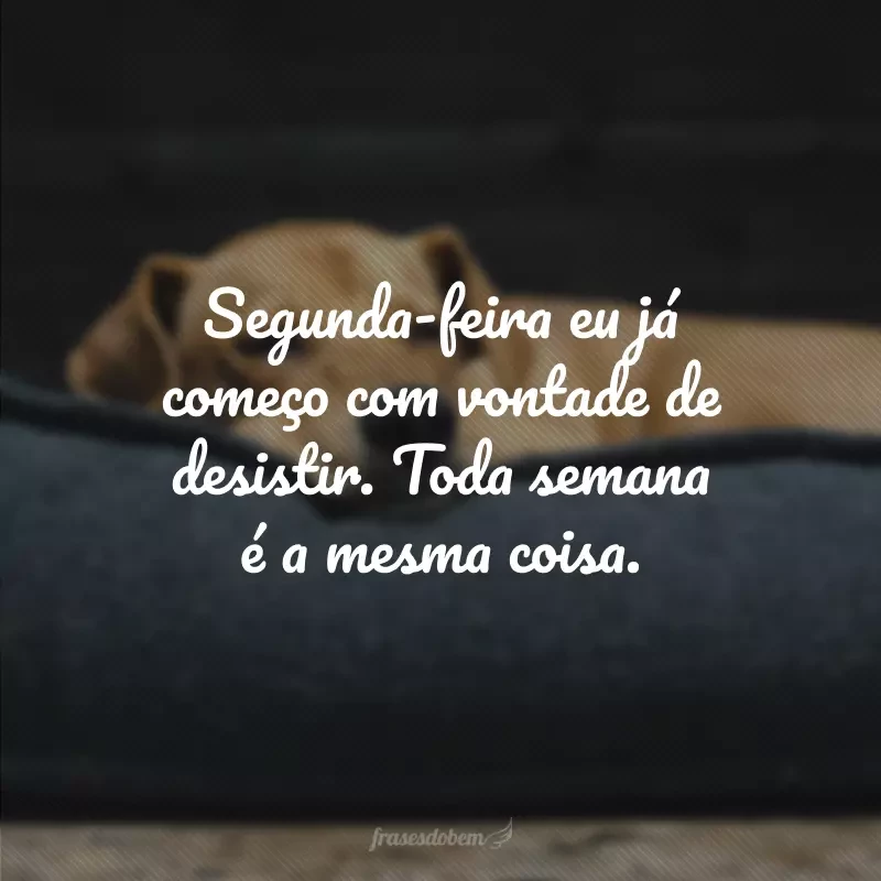 50 frases engraçadas de segunda-feira para espantar o mau humor 50 frases engraçadas de segunda-feira para espantar o mau humor
