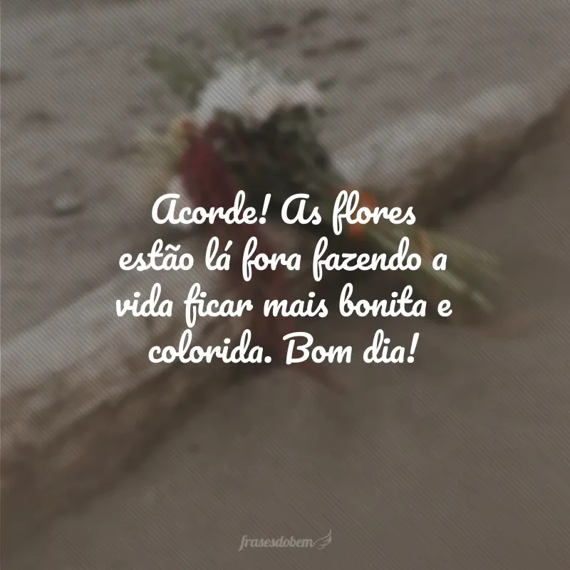 55 frases de bom dia com flores que trazem beleza para as suas manhãs