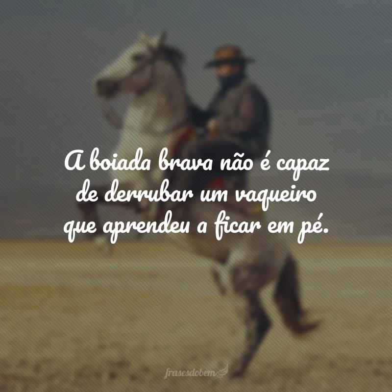 45 frases de vaqueiro para laçar a felicidade e vencer os desafios 45 frases de vaqueiro para laçar a felicidade e vencer os desafios