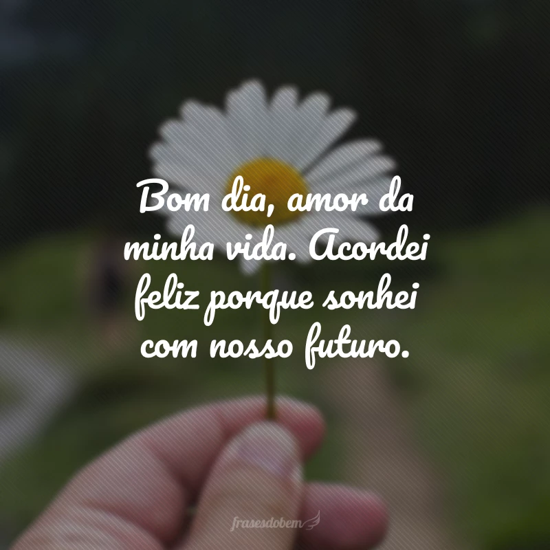 50 frases de bom dia, amor da minha vida, que tornam a manhã mais doce 50 frases de bom dia, amor da minha vida, que tornam a manhã mais doce