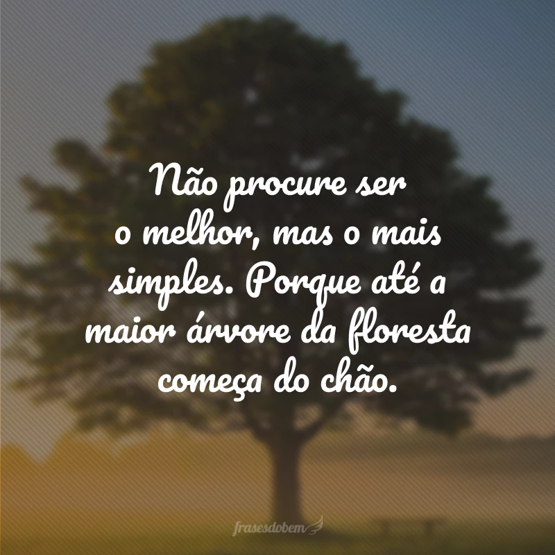 100 frases inteligentes para expandir sua mente e percepção 100 frases inteligentes para expandir sua mente e percepção