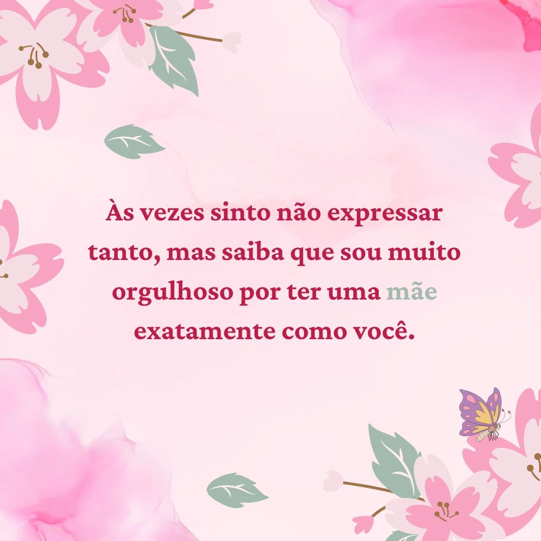 Às vezes sinto não expressar tanto, mas saiba que sou muito orgulhoso por ter uma mãe exatamente como você.