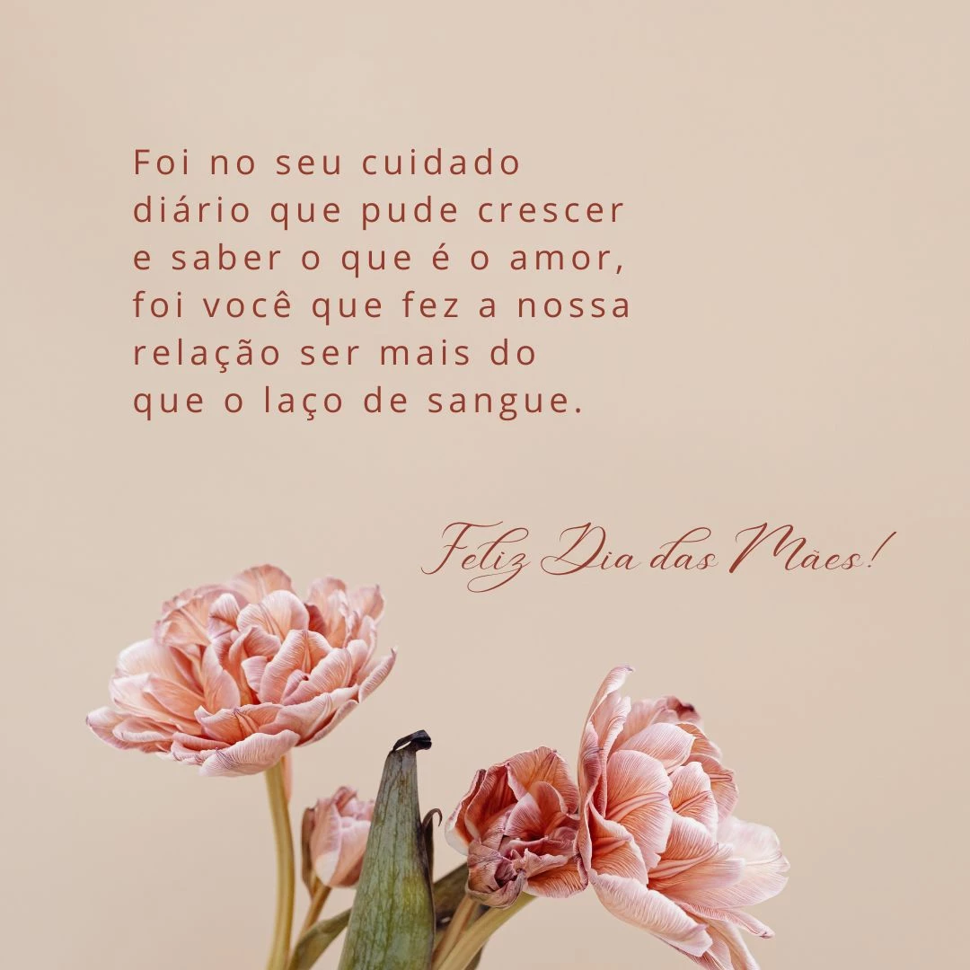 Você não mediu esforços para nos dar o melhor. Foi no seu cuidado diário que pude crescer e saber o que é o amor, foi você que fez a nossa relação ser mais do que o laço de sangue. Como não te amar? Você é a mulher mais admirável do mundo, mãe! Feliz Dia das Mães!