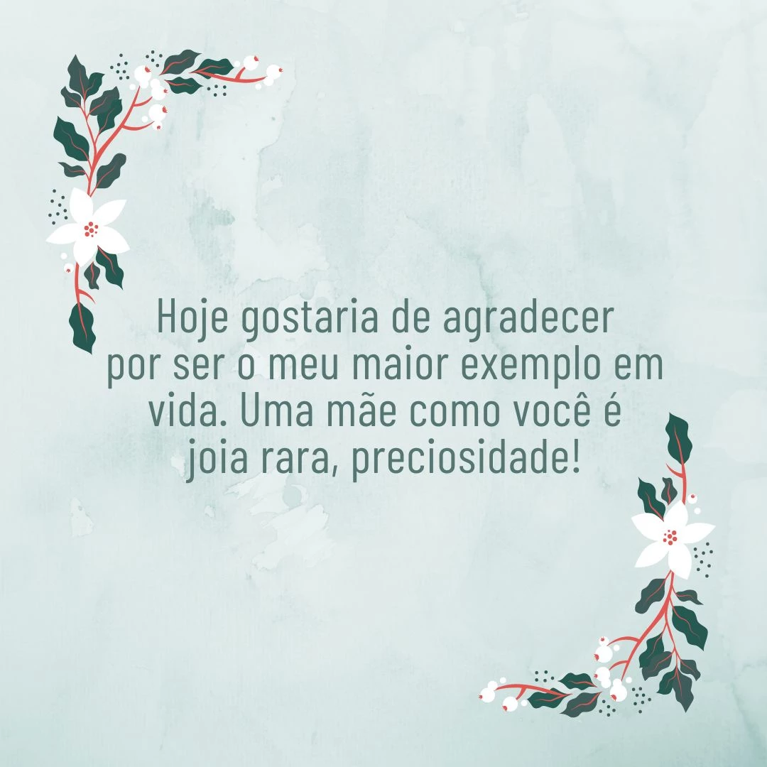 Hoje gostaria de agradecer por ser o meu maior exemplo em vida. Uma mãe como você é joia rara, preciosidade!